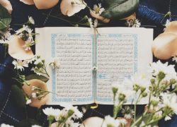 the-dancing-rain-kVjvzOG5WCg-unsplash (1) (1) the-dancing-rain-kVjvzOG5WCg-unsplash (1) (1)